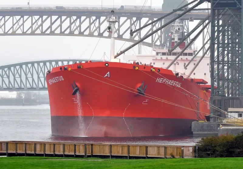 TAN YANG LUN Bulk Carrier IMO 9219032 photo 8