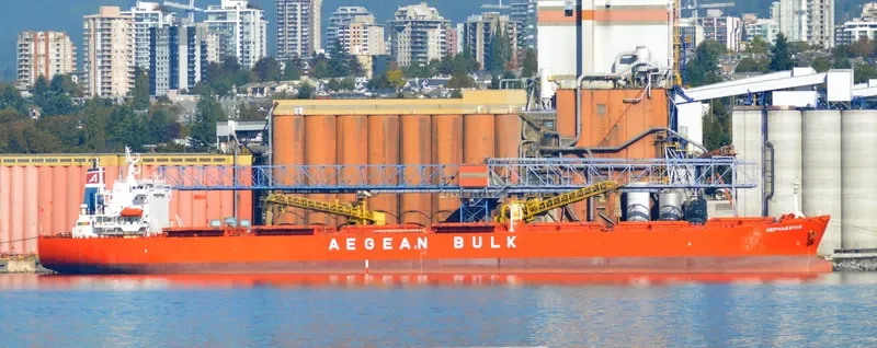 TAN YANG LUN Bulk Carrier IMO 9219032 photo 10