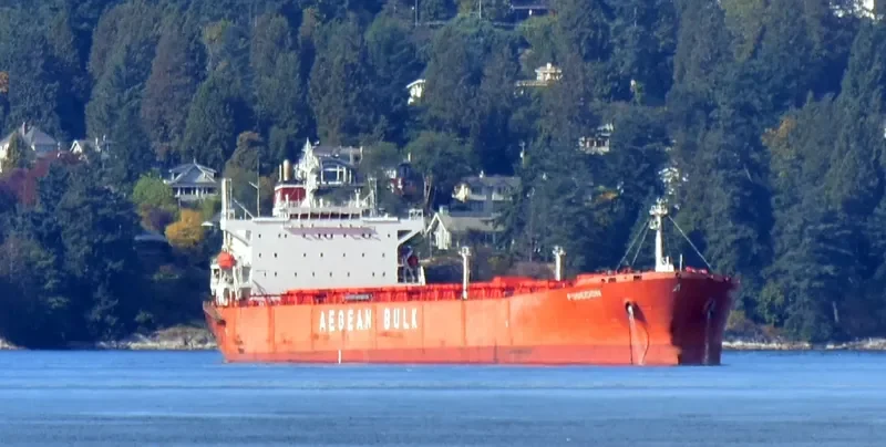 JIN NING 77 Bulk Carrier IMO 9219044 photo 2