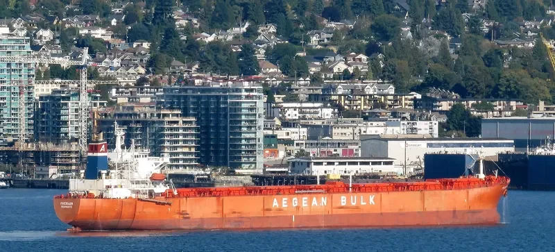 JIN NING 77 Bulk Carrier IMO 9219044 photo 6