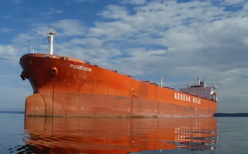 JIN NING 77 Bulk Carrier IMO 9219044 photo 7