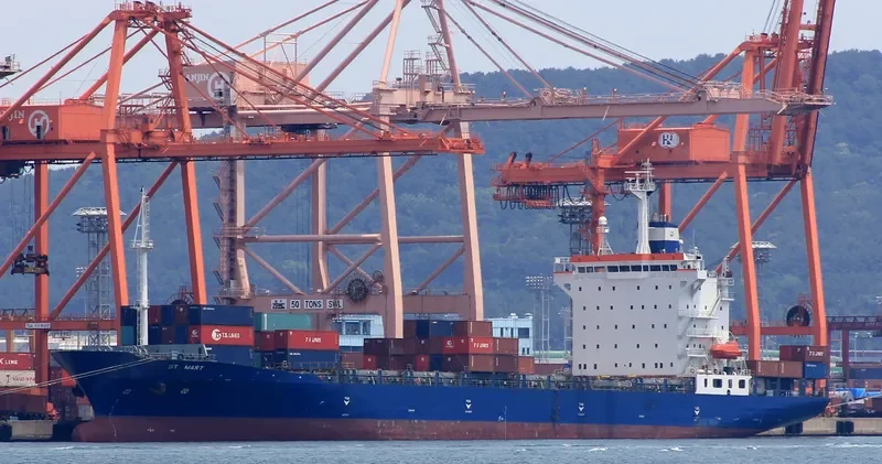 ST.MARY Container Ship IMO 9219252 photo 8