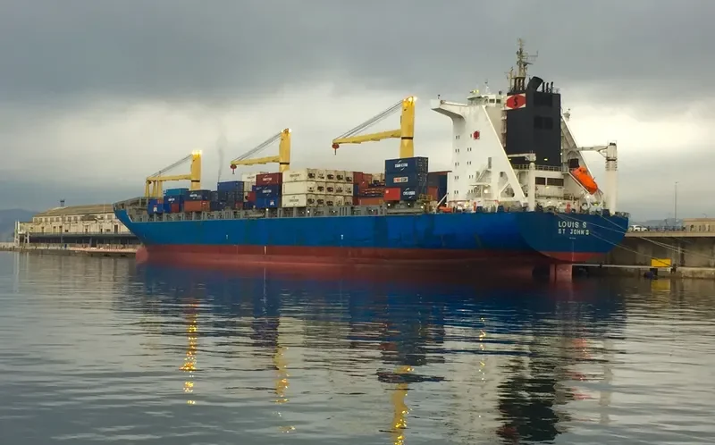LODUR Container Ship IMO 9219381