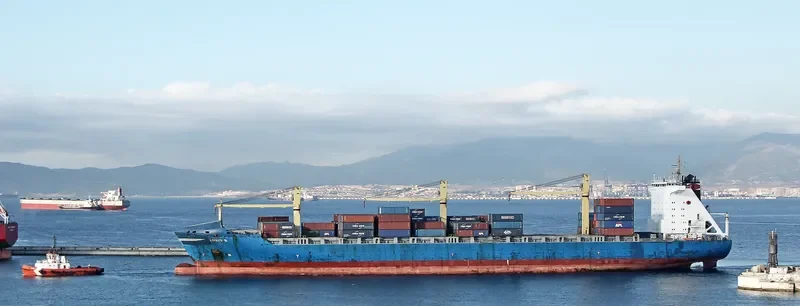 LODUR Container Ship IMO 9219381 photo 2