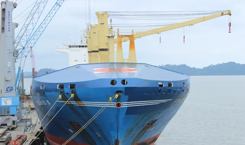 LODUR Container Ship IMO 9219381 photo 6