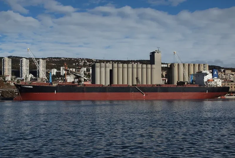 XIN TAI YUAN Bulk Carrier IMO 9219434