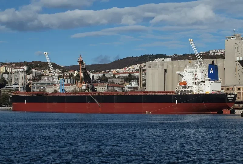 XIN TAI YUAN Bulk Carrier IMO 9219434 photo 2