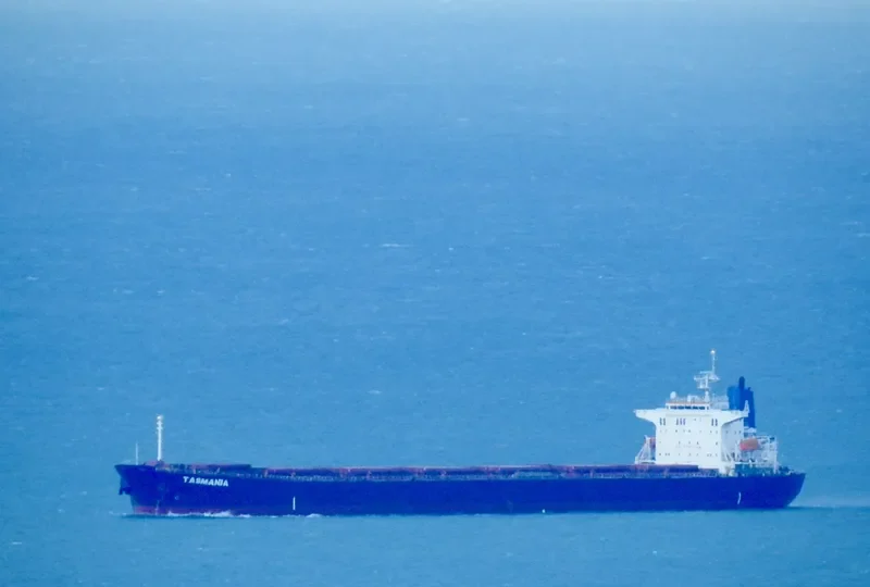 XIN TAI YUAN Bulk Carrier IMO 9219434 photo 4