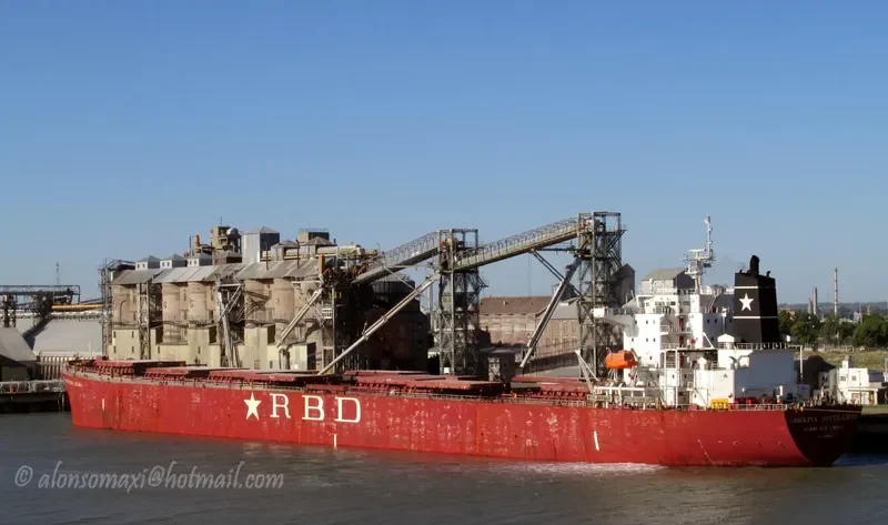 XIN TAI YUAN Bulk Carrier IMO 9219434 photo 5