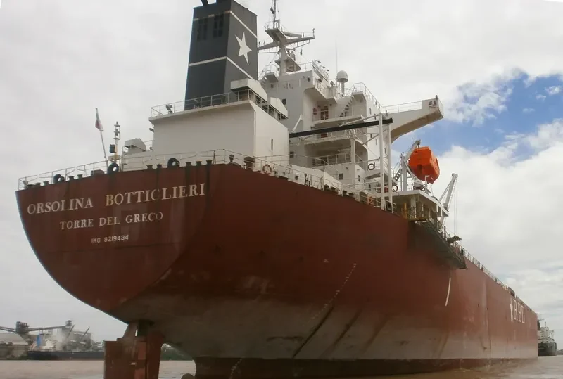 XIN TAI YUAN Bulk Carrier IMO 9219434 photo 7