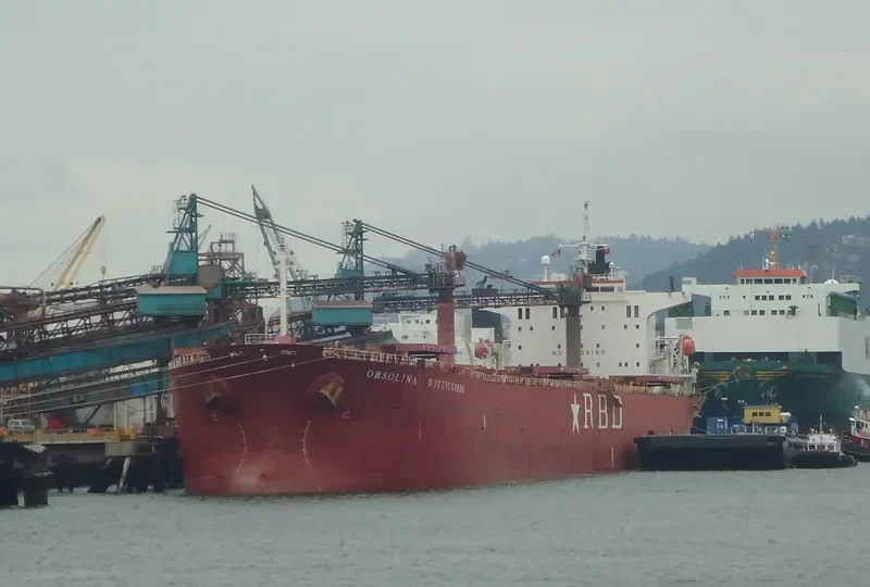XIN TAI YUAN Bulk Carrier IMO 9219434 photo 10