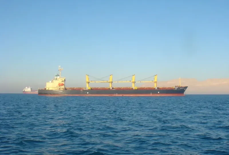 ARK ROYAL Bulk Carrier IMO 9219446 photo 2