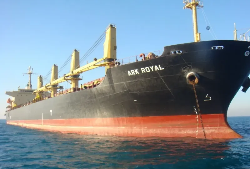 ARK ROYAL Bulk Carrier IMO 9219446 photo 3