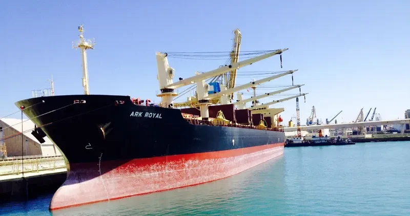ARK ROYAL Bulk Carrier IMO 9219446 photo 5