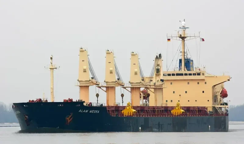 ARK ROYAL Bulk Carrier IMO 9219446 photo 6