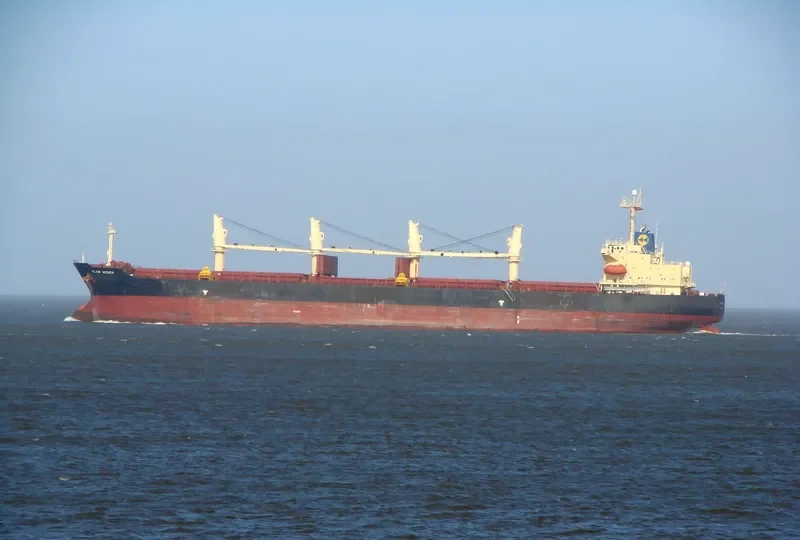 ARK ROYAL Bulk Carrier IMO 9219446 photo 7