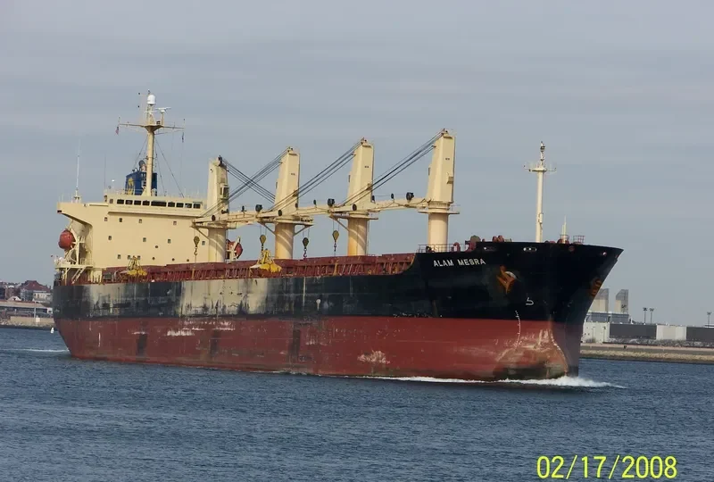 ARK ROYAL Bulk Carrier IMO 9219446 photo 8