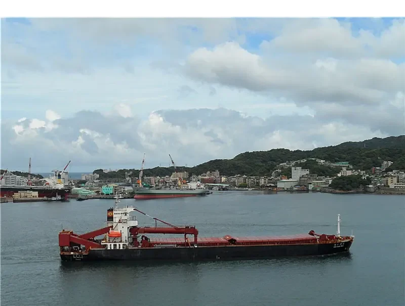 SARTIKA BARUNA Bulk Carrier IMO 9219898 photo 3