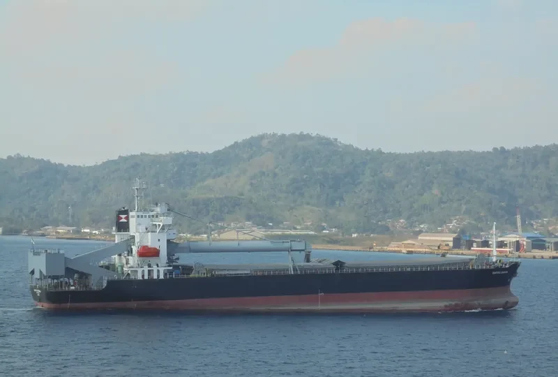 SARTIKA BARUNA Bulk Carrier IMO 9219898 photo 5
