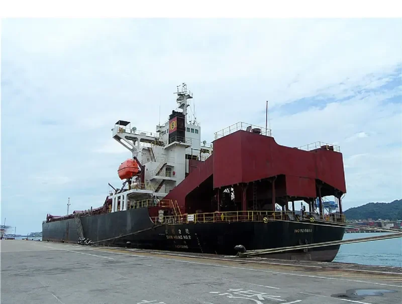 SARTIKA BARUNA Bulk Carrier IMO 9219898 photo 8