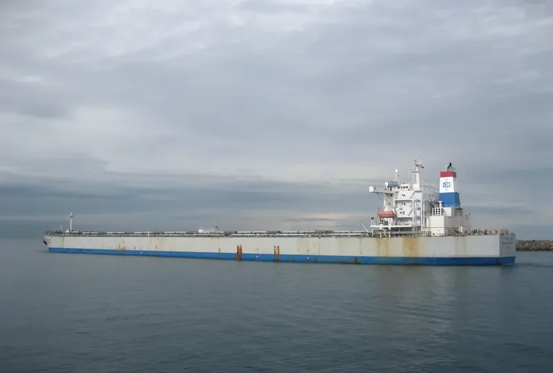 CHINA STEEL INTEGRITY Bulk Carrier IMO 9220225 photo 2