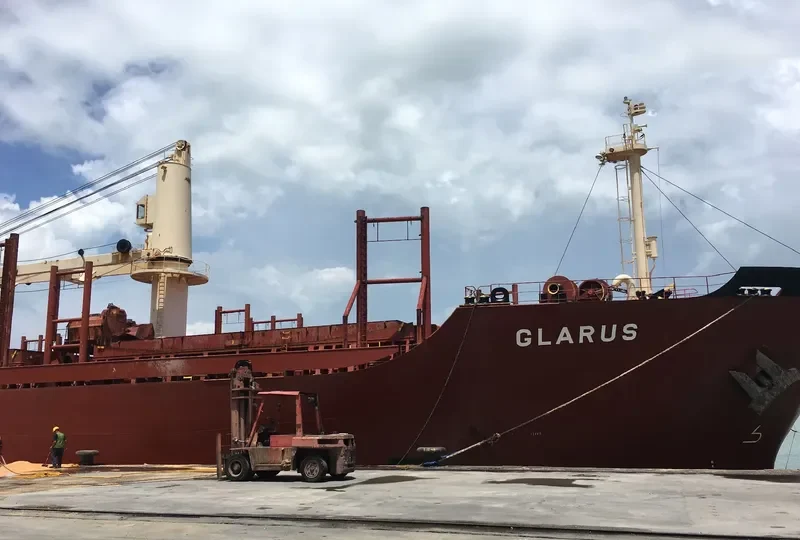 SINOWAY LILY Bulk Carrier IMO 9220471