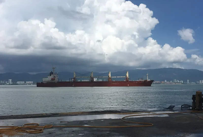 SINOWAY LILY Bulk Carrier IMO 9220471 photo 2