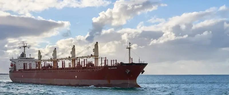 SINOWAY LILY Bulk Carrier IMO 9220471 photo 3