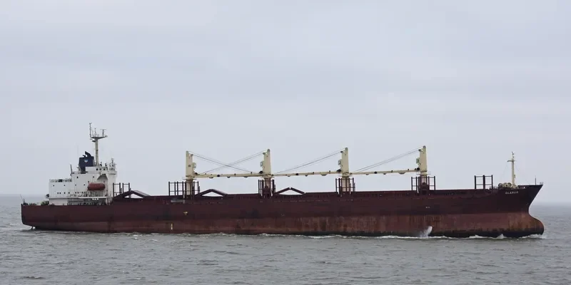 SINOWAY LILY Bulk Carrier IMO 9220471 photo 6