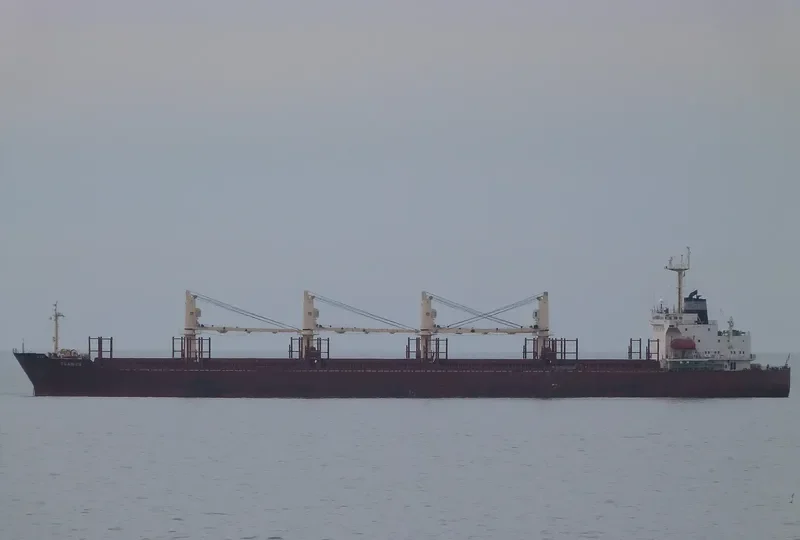 SINOWAY LILY Bulk Carrier IMO 9220471 photo 9