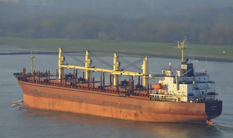 SINOWAY LILY Bulk Carrier IMO 9220471 photo 10