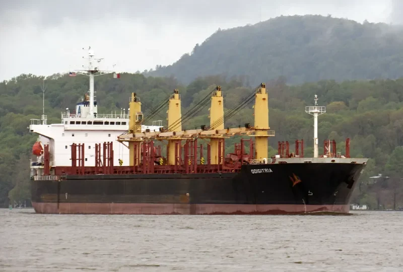 XIN AN JIANG Bulk Carrier IMO 9220483 photo 2