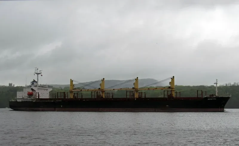 XIN AN JIANG Bulk Carrier IMO 9220483 photo 3