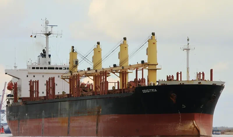XIN AN JIANG Bulk Carrier IMO 9220483 photo 6