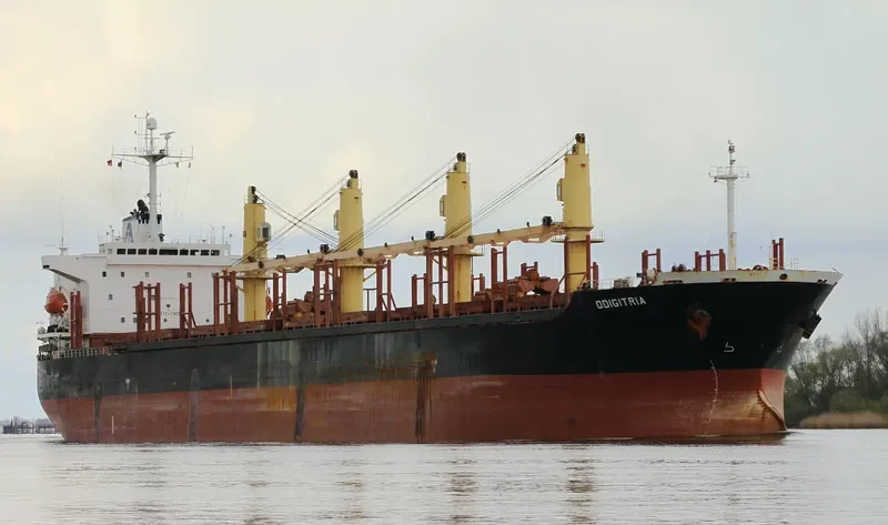 XIN AN JIANG Bulk Carrier IMO 9220483 photo 7