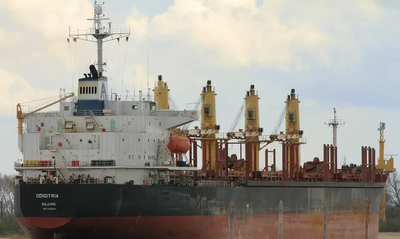 XIN AN JIANG Bulk Carrier IMO 9220483 photo 8