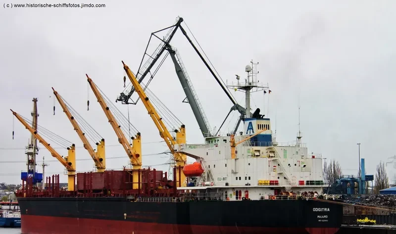 XIN AN JIANG Bulk Carrier IMO 9220483 photo 9