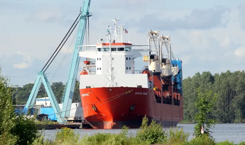 FLEET LEADER Ro-Ro IMO 9220639 photo 6