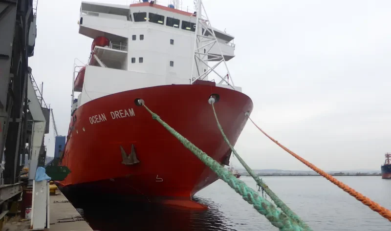 LADY MARIIA Ro-Ro IMO 9220641 photo 9