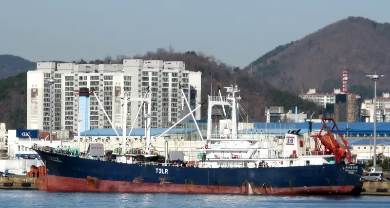 SHIN HO CHUN NO.101 General Cargo IMO 9220653 photo 4