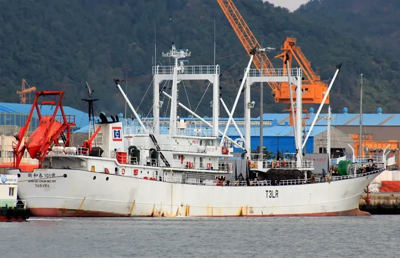 SHIN HO CHUN NO.101 General Cargo IMO 9220653 photo 7