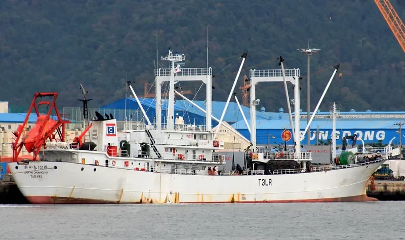 SHIN HO CHUN NO.101 General Cargo IMO 9220653 photo 8