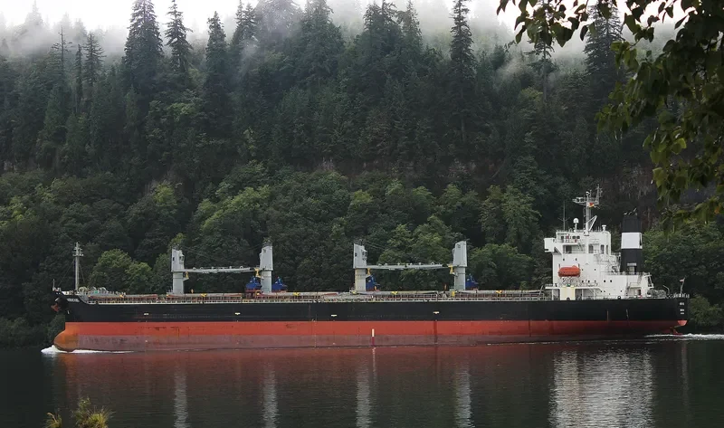 XING SHUN 76 Bulk Carrier IMO 9220706 photo 5