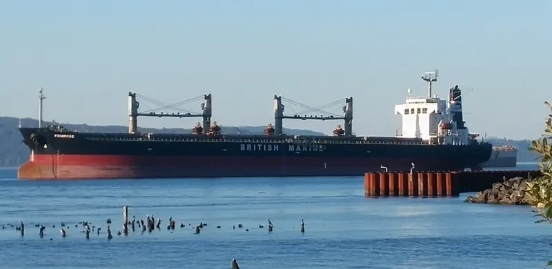 XING SHUN 76 Bulk Carrier IMO 9220706 photo 32
