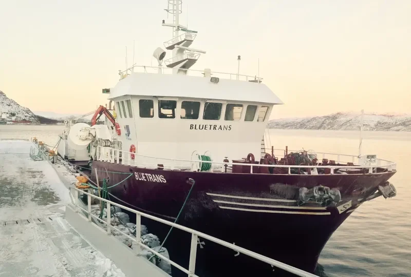 BLUETRANS General Cargo IMO 9220835 photo 9