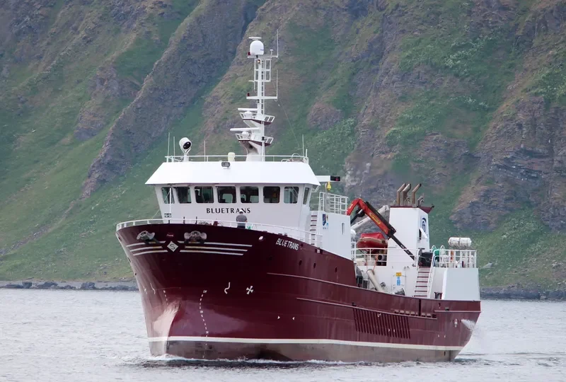 BLUETRANS General Cargo IMO 9220835 photo 10