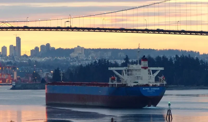 ALPHA COSMOS Bulk Carrier IMO 9221009 photo 4