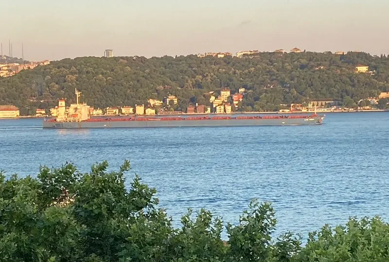 ALPHA COSMOS Bulk Carrier IMO 9221009 photo 8