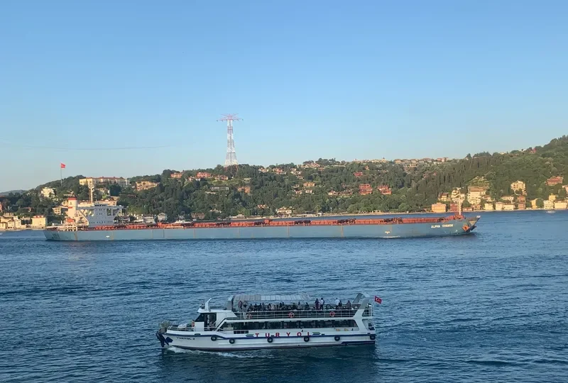 ALPHA COSMOS Bulk Carrier IMO 9221009 photo 9
