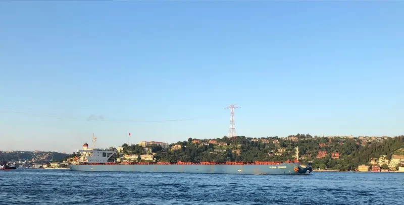 ALPHA COSMOS Bulk Carrier IMO 9221009 photo 10